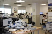 Foto del Servei d’Anatomia Patològica del hospital Trueta